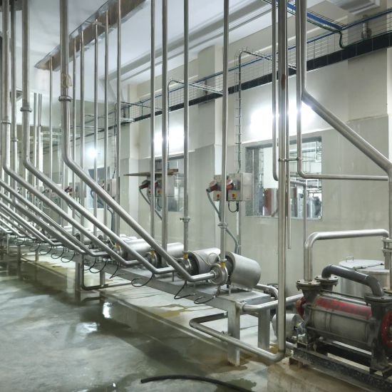 Automated Processing Line